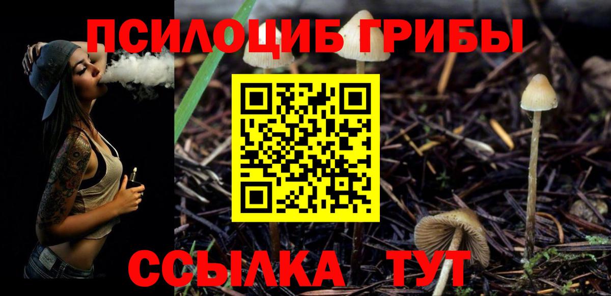Псилоцибиновые грибы GOLDEN TEACHER Сарапул