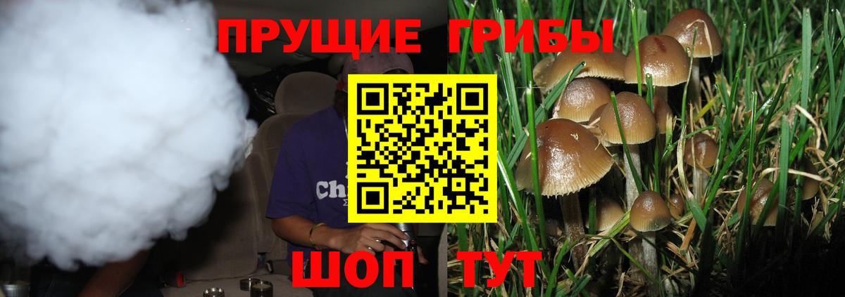 Псилоцибиновые грибы мицелий  купить наркотики цена  Сарапул  Вход с VPN 